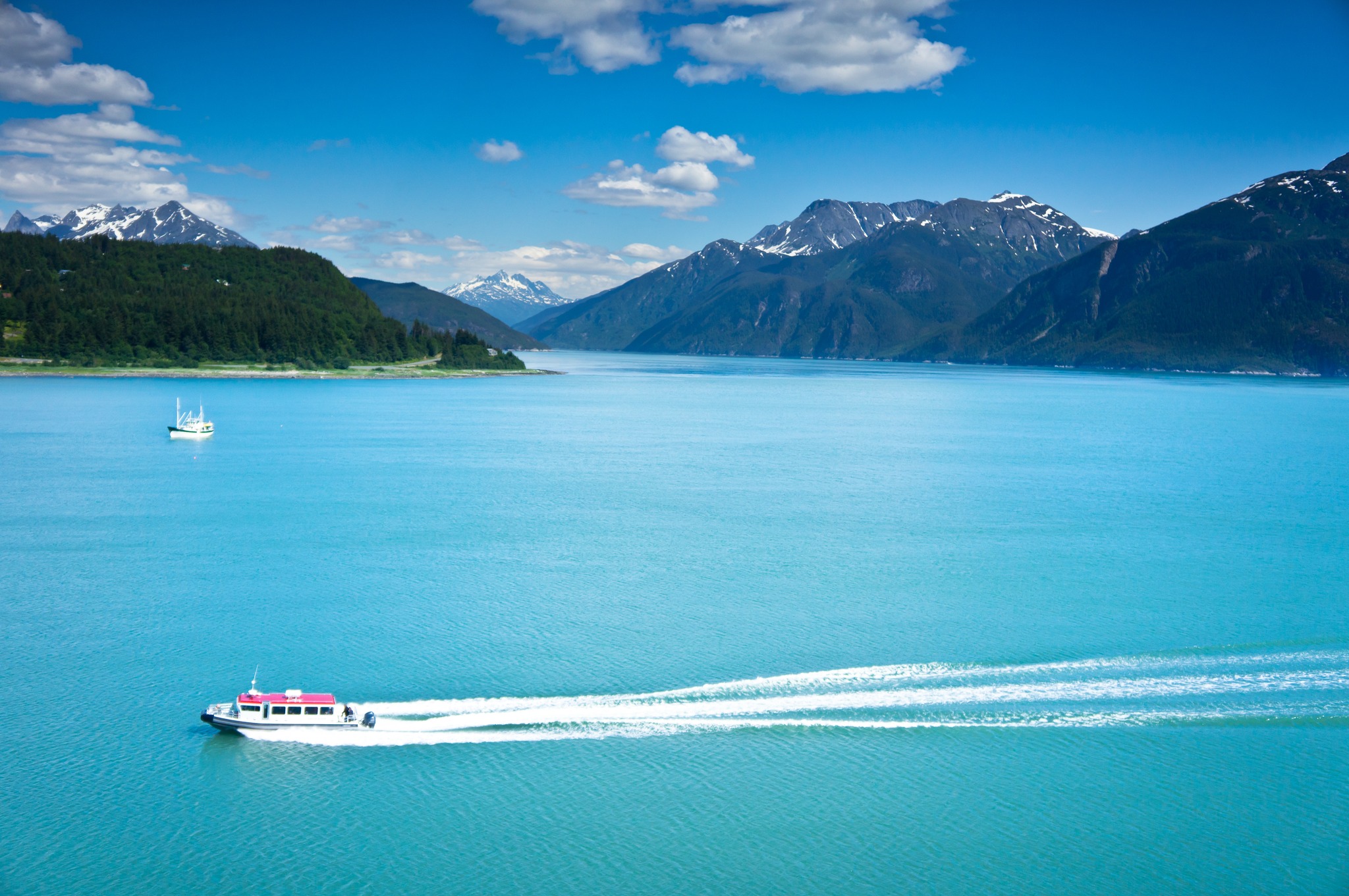 Al Syed Travel